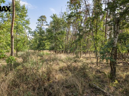 Prodej pozemku, les, 38 473 m²