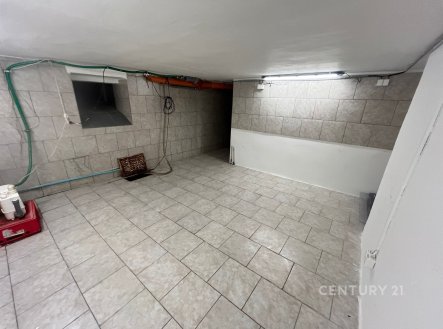 Pronájem obchodní prostory, 45 m²