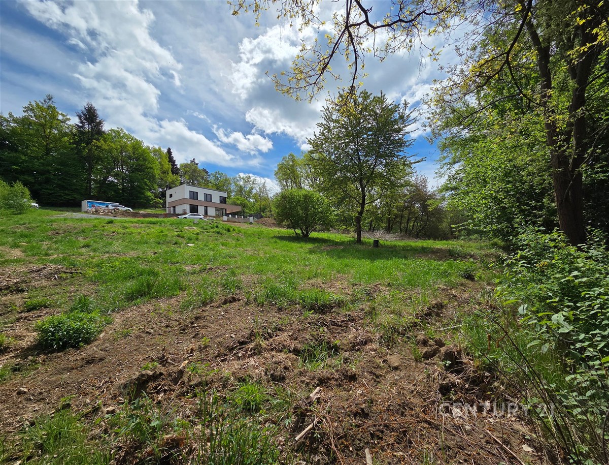 Rozlehlý pozemek s rodinným domem ve venkovském prostředí, obklopený stromy a zelení, ideální pro klidné bydlení nebo rekreaci.