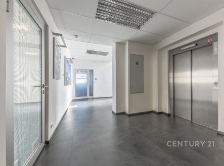 Pronájem obchodní prostory, 86 m²