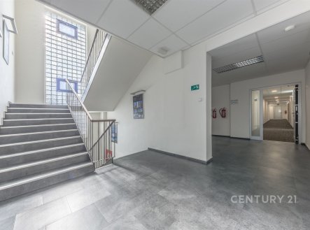 Pronájem kanceláře, 56 m²