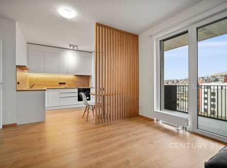 Pronájem bytu, 1+kk, 38 m²