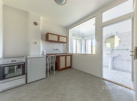 Prodej domu/vily, 250 m²