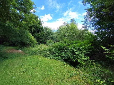 Prodej pozemku, zahrada, 4 886 m²