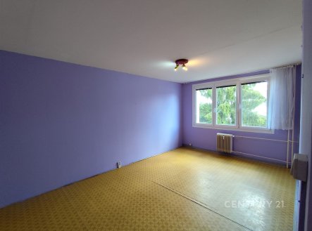 Pronájem bytu, 1+1, 41 m²