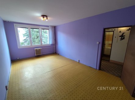 Pronájem bytu, 1+1, 41 m²