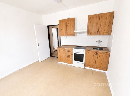 Pronájem bytu, 1+1, 41 m²