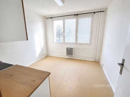Pronájem bytu, 1+1, 41 m²