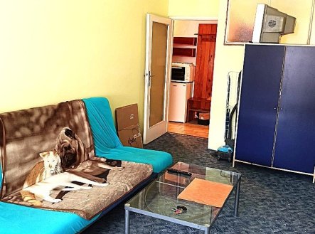 Pronájem bytu, 1+kk, 28 m²