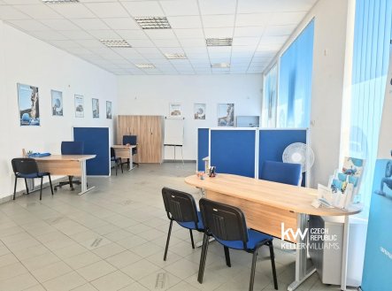 Pronájem obchodní prostory, 110 m²