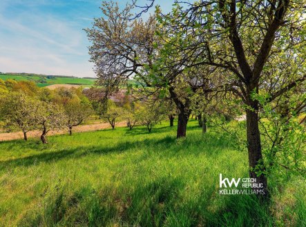 Prodej pozemku pro bydlení, 891 m²