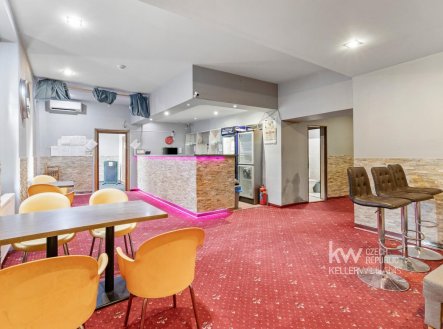 Prodej domu/vily, 471 m²