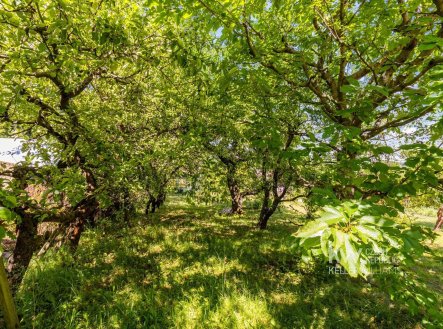 Prodej chaty/rekreačního objektu, 9 m²