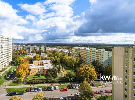 Pronájem bytu, 1+kk, 42 m²