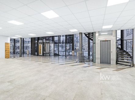 Pronájem obchodní prostory, 427 m²