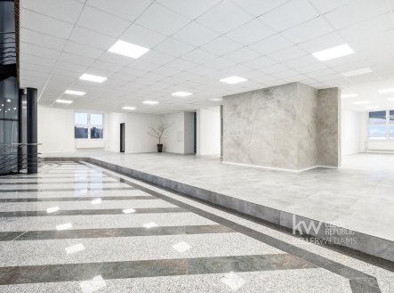 Pronájem obchodní prostory, 427 m²
