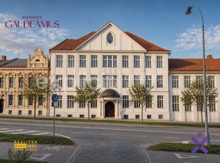 Pronájem kanceláře, 211 m²