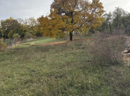 Prodej pozemku pro bydlení, 2 948 m²