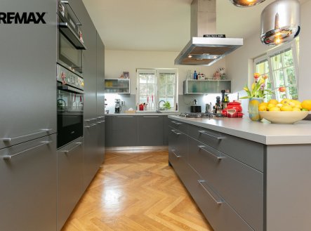 Pronájem domu/vily, 302 m²