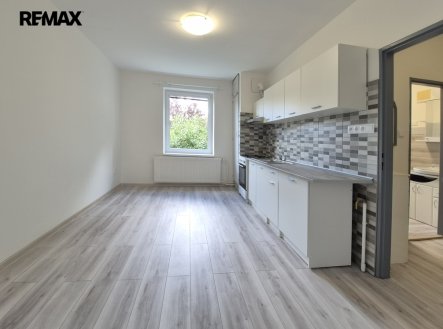 Pronájem bytu, 1+1, 52 m²
