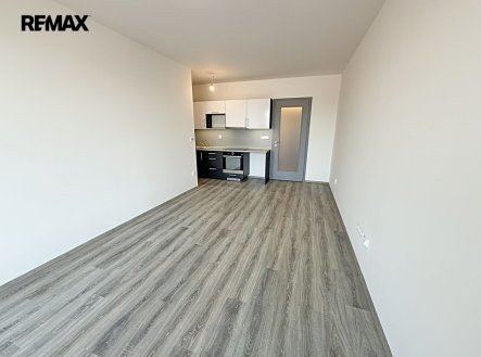 Pronájem bytu, 1+kk, 28 m²