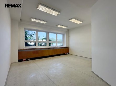 Pronájem kanceláře, 30 m²