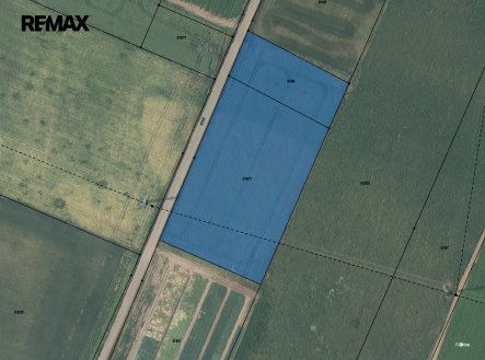 Prodej pozemku, zemědělská půda, 2 804 m²