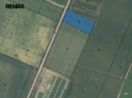 Prodej pozemku, zemědělská půda, 2 804 m²