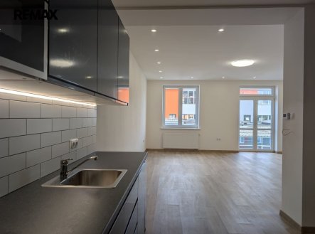 Pronájem bytu, 1+kk, 55 m²