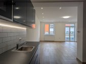 Pronájem bytu, 1+kk, 55 m²