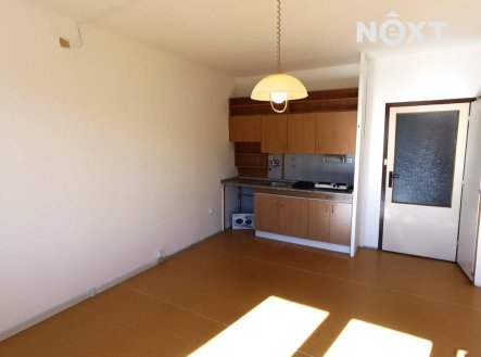 Pronájem bytu, 1+kk, 29 m²