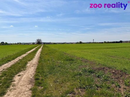 Prodej pozemku, zemědělská půda, 5 596 m²