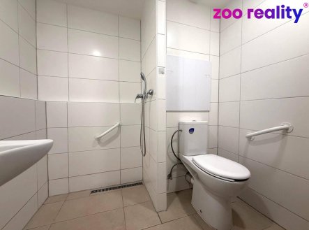 Prodej bytu, 1+kk, 33 m²