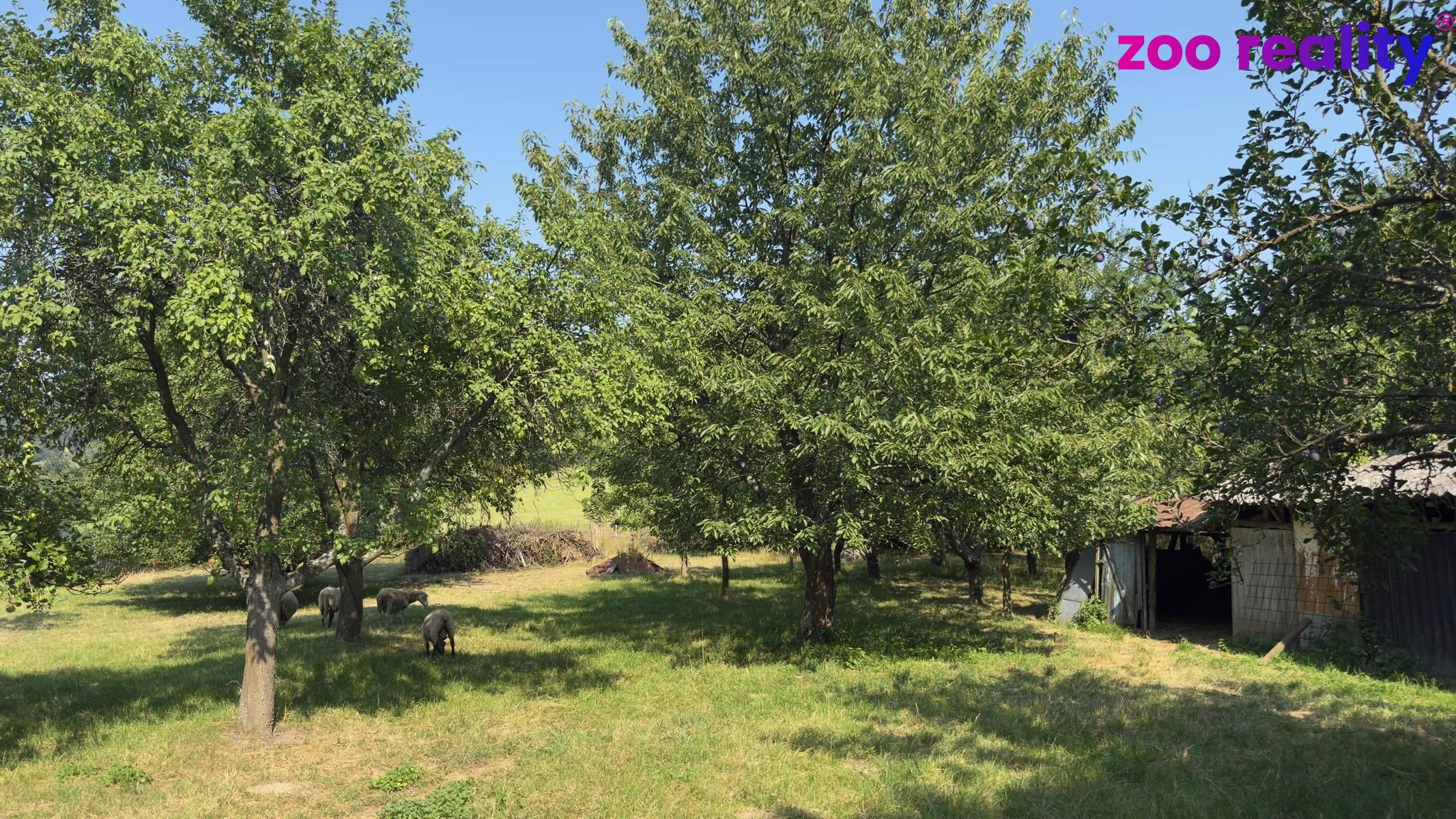 Prodej pozemek Bydlení|Olomoucký kraj, Šumperk, Oskava, 78801
