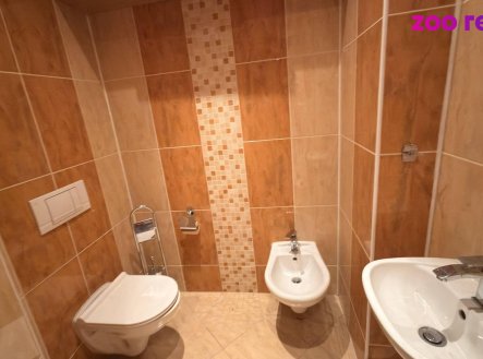 Pronájem bytu, 3+1, 168 m²