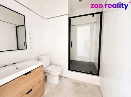 Prodej bytu, 2+kk, 42 m²