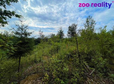 Prodej pozemku, les, 33 000 m²