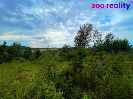 Prodej pozemku, les, 33 000 m²