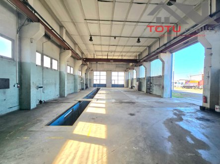 Pronájem výrobní prostory, 3 000 m²