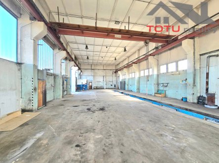 Pronájem výrobní prostory, 3 000 m²