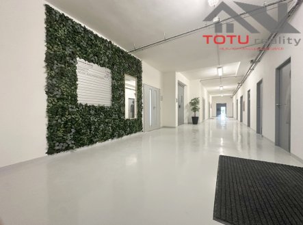 Pronájem kanceláře, 45 m²