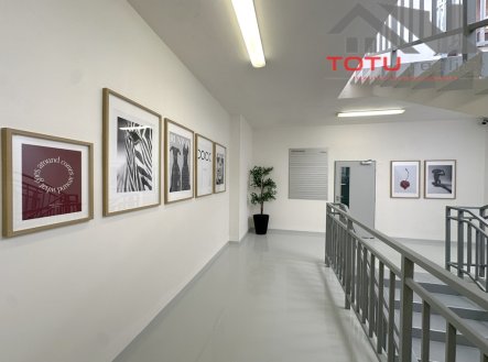 Pronájem kanceláře, 45 m²
