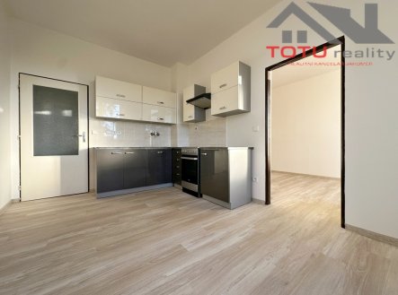 Pronájem bytu, 1+1, 42 m²