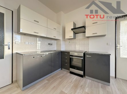 Pronájem bytu, 1+1, 42 m²