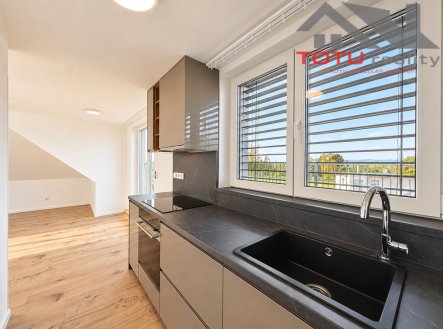 Pronájem bytu, 1+kk, 52 m²