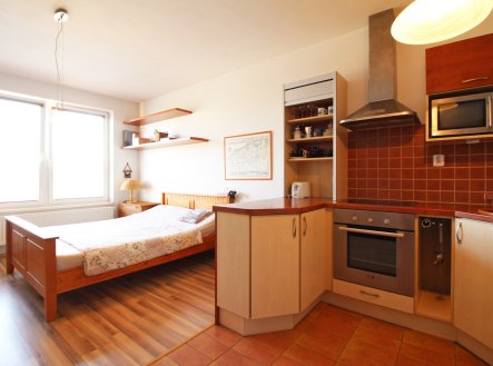 Pronájem bytu, 1+kk, 38 m²