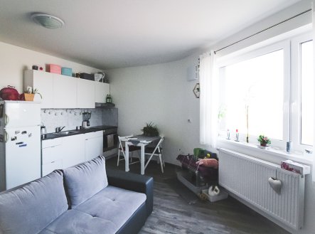 Pronájem bytu, 1+kk, 31 m²