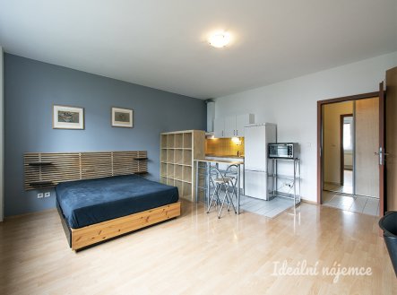 Pronájem bytu, 1+kk, 40 m² obrázek