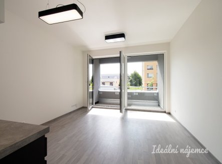 Pronájem bytu, 1+kk, 30 m²