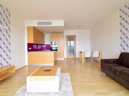 Pronájem bytu, 1+kk, 50 m²